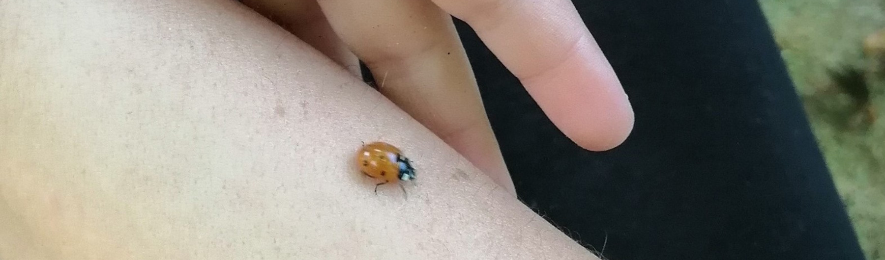 Slide #1 copy copy Slide background