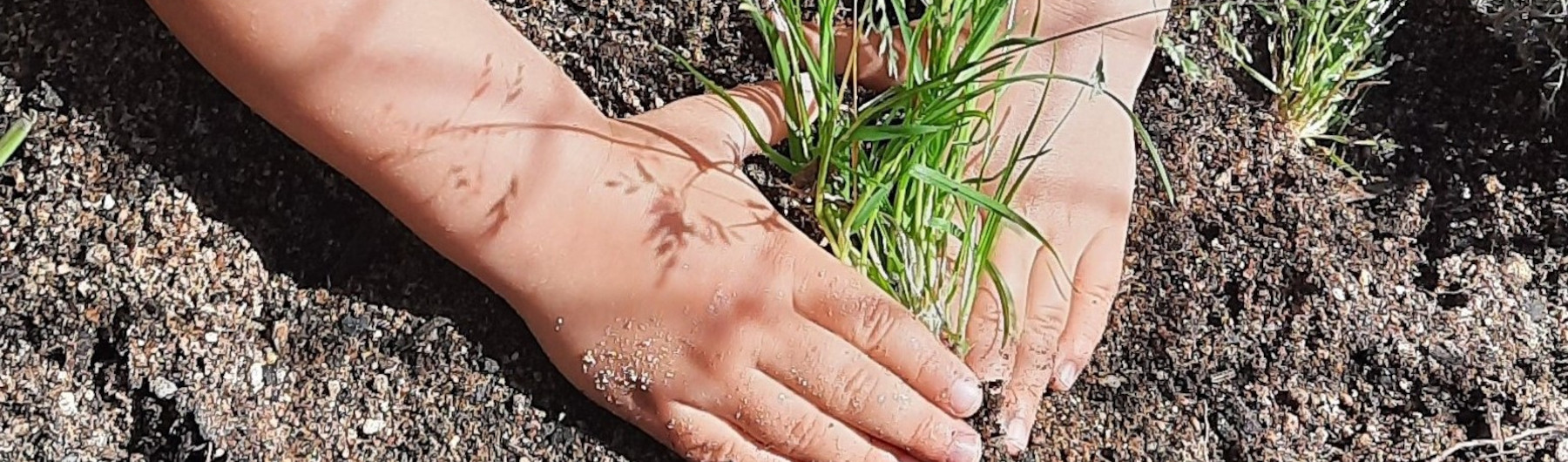 Slide #1 copy copy copy copy Slide background